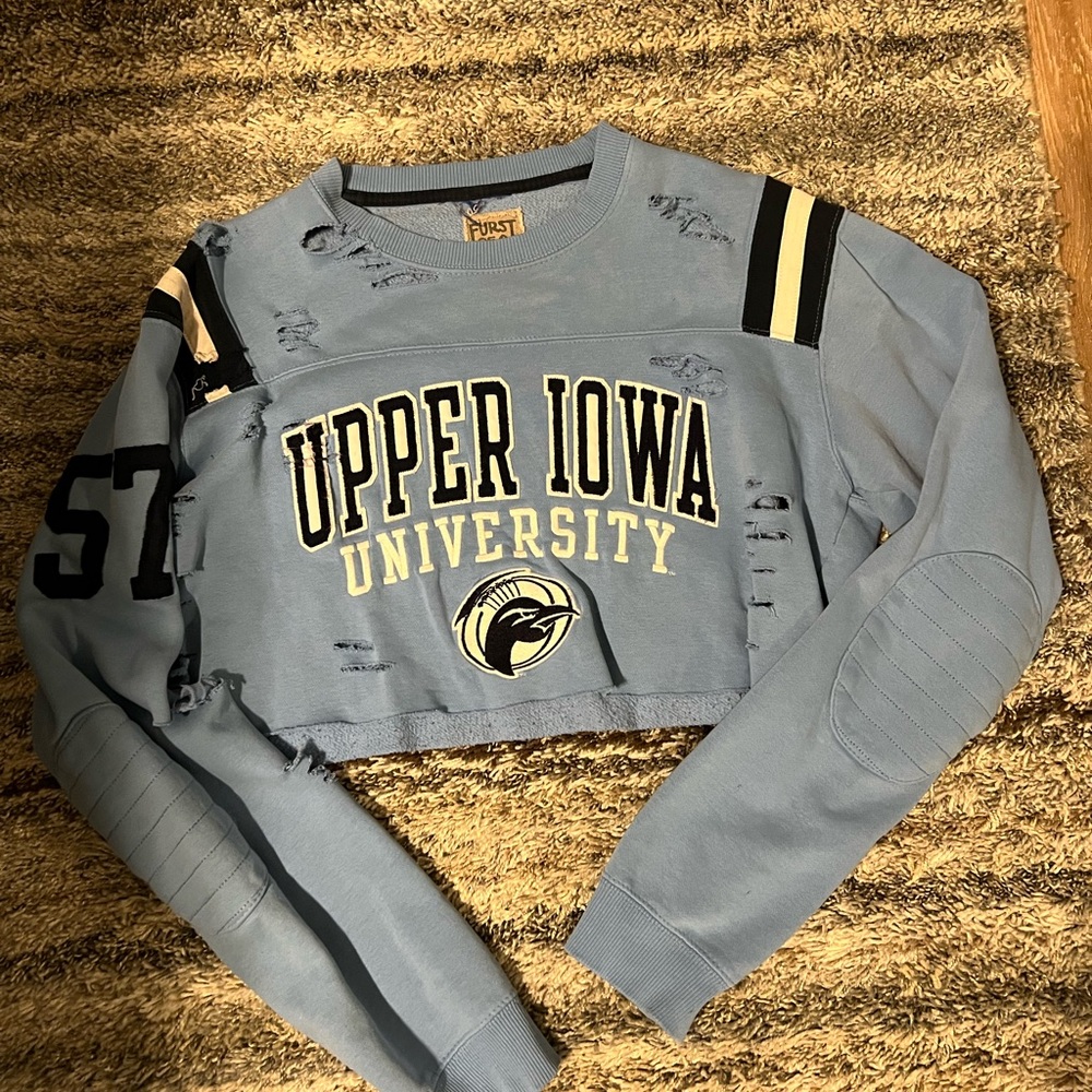 Vintage cropped upper Iowa sweatshirt